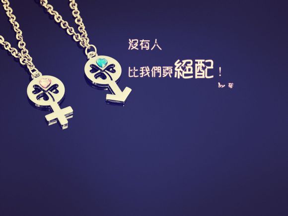 充电器头什么牌子好
